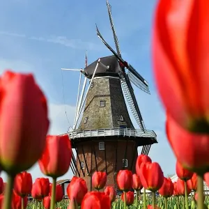 Windmill Island Gardens Windmill Island Gardens