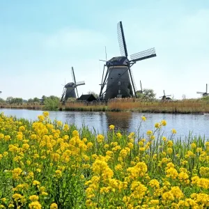 Windmills of Kinderdijk, Netherlands Windmills of Kinderdijk, Netherlands