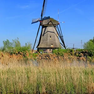 Windmills of Kinderdijk, Netherlands Windmills of Kinderdijk, Netherlands