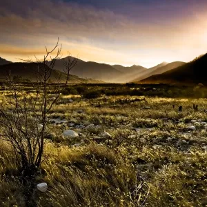Winelands Wilderness Winelands Wilderness
