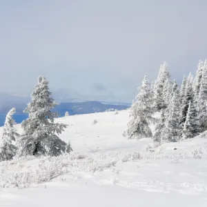 Winter at Lake Tahoe