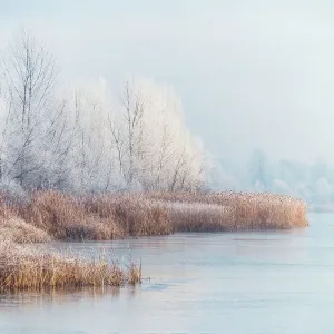 Winter landscape of the frozen pond and rime ice on the trees Winter landscape of the frozen pond and rime ice on the trees