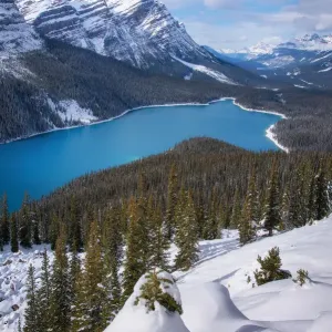Winter Peyto Lake, AB, Canada Winter Peyto Lake, AB, Canada