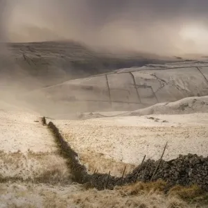 Winter Storm in Yorkshire