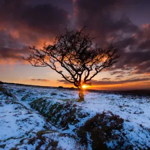 Winter sunset Winter sunset