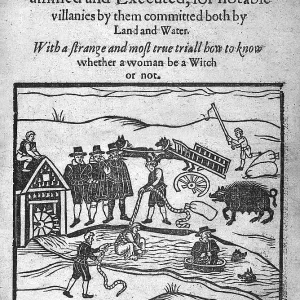 Witches Apprehended Witches Apprehended