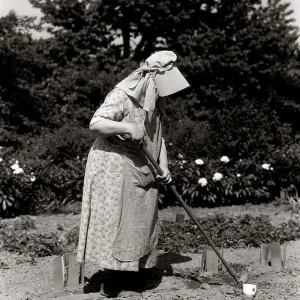 Woman In Bonnet Hoeing In Garden Woman In Bonnet Hoeing In Garden