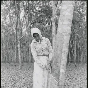 Images Dated 1971 April: 4 Apr 1971