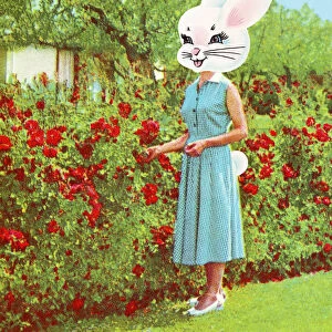 Woman with a Rabbit Head Near a Rose Bush