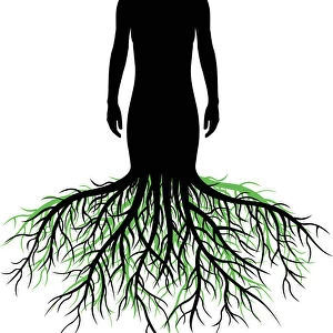 Woman with Roots