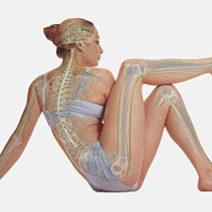 Woman sitting on the floor supported by a hand, one leg resting up on her other knee, illustration overlay showing skeleton and nervous system