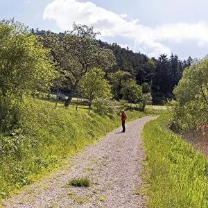 Woman on a trail through the Morsbachtal valley, trees, Ritter- und Romerweg, trail of the Knights and the Romans near Emsing, Titting, Altmuhltal Nature Park, Bavaria, Germany