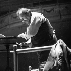 Wood Conducting Wood Conducting