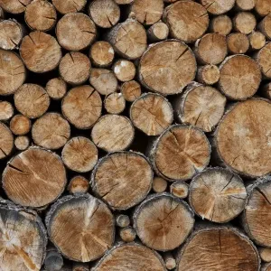 Holzhaufen Holzhaufen