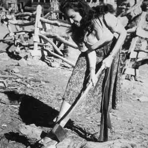 Woodcutter Russell Woodcutter Russell