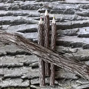 Wooden pencils Wooden pencils
