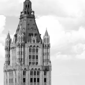 Woolworth Building Architectural Print