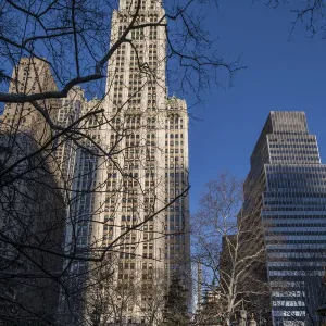 Woolworth Building New York In Early Morning Sunshine Woolworth Building New York In Early Morning Sunshine