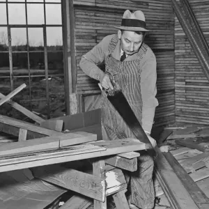 At Work In A Lumber Yard At Work In A Lumber Yard
