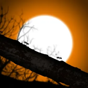 Working Ants Print until Sunset