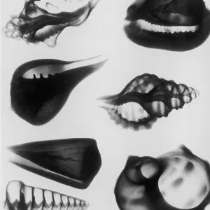 X-Ray Seven Shells X-Ray Seven Shells