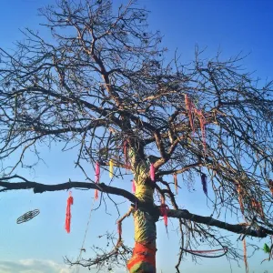 Yarn Bombing
