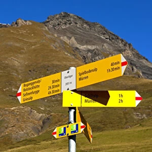 Yellow hiking signposts on an alpine pasture below Schilthorn Mountain in the Muerren hiking area, Bernese Oberland, Switzerland, Europe