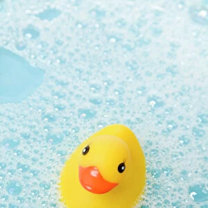 Yellow rubber duck in water