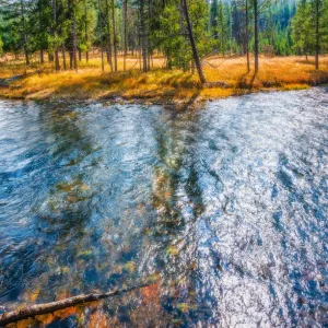 Yellowstone in Fall color Yellowstone in Fall color