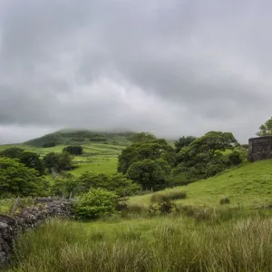 Ynys Y Pandy Slate Mill ruins