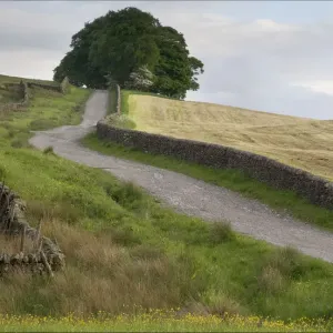 Art mural des Dales de Yorkshire. Art mural des Dales de Yorkshire.
