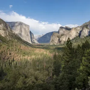 Yosemite National Park - Tunnel View