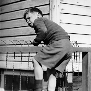 Young boy climbing fence