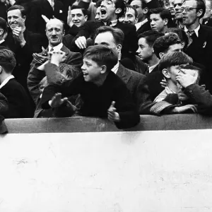 Young Ibrox Fan Young Ibrox Fan