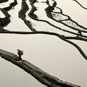 Yuanyang rice terrace, Yunnan, China Yuanyang rice terrace, Yunnan, China