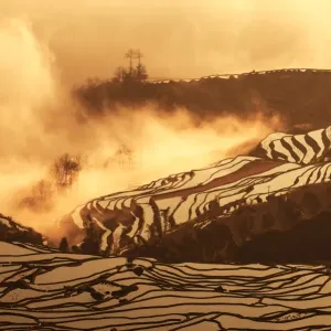 Yuanyang Rice Terraces Print Yuanyang Rice Terraces Print