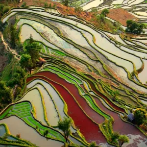 Yuanyang Rice Terraces Print Yuanyang Rice Terraces Print
