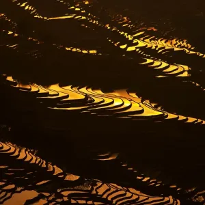 Yuanyang Rice Terraces Print with Sunset Scene