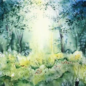 Zauberwald, magic forest