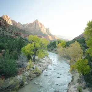 Zion national park in scene Zion national park in scene