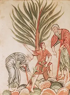 Digging Prints: 12th Century Manuscript Illustration of Medicinal Plant Gathering