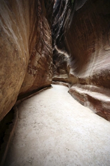 Ravine Collection: -