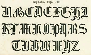 Images Dated 1st March 2011: 16th Century Gothic Style Alphabet