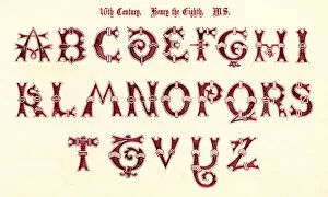 Western Script Gallery: 16th Century Style Alphabet
