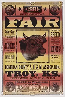 Bovine Prints: 1881 13th Annual Fair