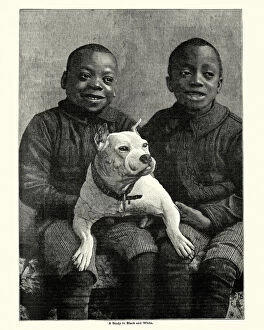 Facial Expression Gallery: 1890s, 19th Century, African American, African Ethnicity, Animal, Animal Themes, Antique