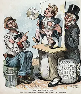 1896 Political Cartoon