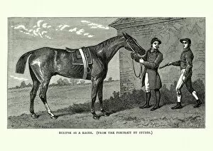 Images Dated 5th January 2018: 18th Century racehorse Eclipse