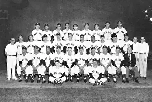 Ted Williams Prints: 1950 Boston Red Sox