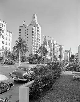 Miami Prints: 1950s SAXONY AND SAN SOUCI